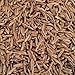 Indus Organics Cumin Seeds Whole (Jeera), 8 Oz Jar, Premium Grade, High Purity, Freshly Packed