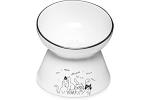Y YHY Elevated Cat Bowl, Tilted Raised Cat Water Bowl 6-Inch Ceramic Cat Food Bowl Anti Vomiting for Dry & Wet Foods Cat Dish for Indoor Cats, Small Dogs,Protect Pet's Spine