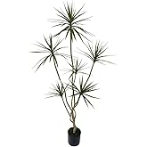 AfanD Artificial Dracaena marginata,6ft Tall Fake Plants Artificial Dracaena marginata Plants for Indoor, Fake Trees for Office Home Living Room Floor Patio Greening Porch Decor