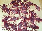 Marljohns Fake Rubber Cockroaches (Pack of 12)
