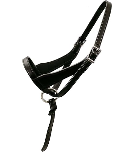 Licol Poulain Intrepid International - Sangle Ajustable Antidérapante - Qualité Cuir