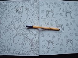 Harry Potter Magical Creatures Colouring Book 2: Amazon.co.uk: Warner ...