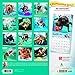 Underwater Dogs 2019 12 x 12 Inch Monthly Square Wall Calendar, Pet Humor Puppy (Multilingual Edition)