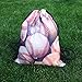 Jom Tokoy Drawstring Bag Water Resistant Polyester Gym Bag Baseball Gifts (baseball)