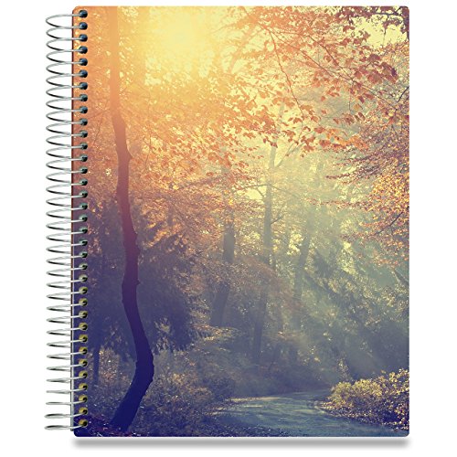 Tools4Wisdom Planners 2018 Planner - 8.5 x 11 - Premium Hardcover with Full Color Pages - Daily Weekly Monthly Yearly Day Planner w. Tabs and Stickers - Dated January to December Calendar Year