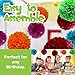 25 Piece Party Decorations Set - Tissue Paper Flowers + Plastic Swirls Bundle - Party Streamers - Tissue Paper Pom Poms - Multi-Color