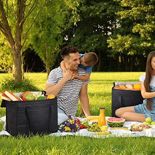 Syntus 5 Set Insulated Reusable Grocery bags 2 Pack XL Insulated