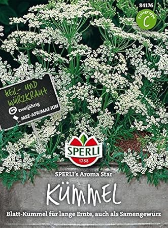 Sperli Kümmel Sperli´s Aroma Star | lange Ernte | kann getrocknet werden | Päckchen Samen