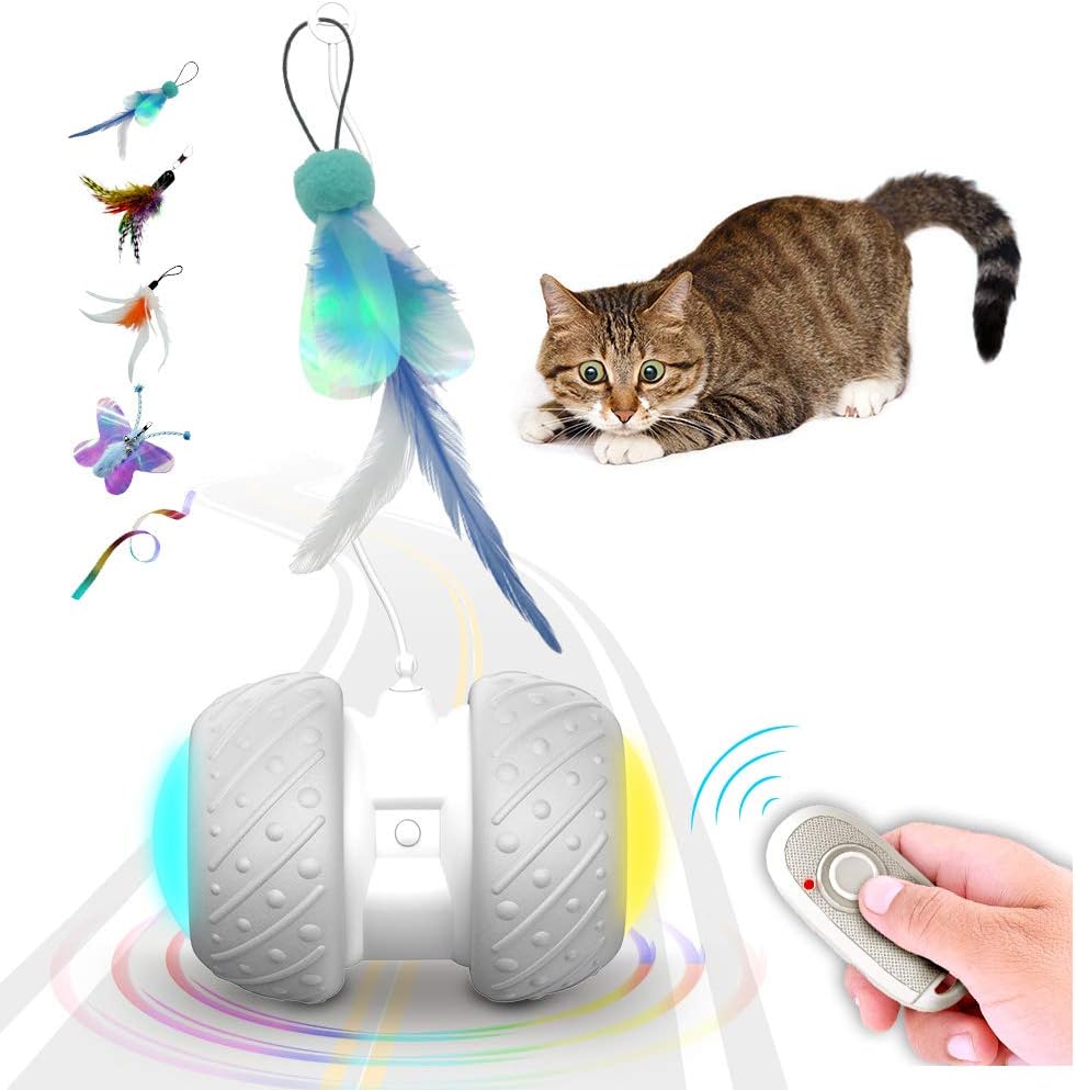 k-berho Remote Control/Robotic Cat Toys Interactive, Cat Toys for Indoor with Feather, Color Ribbon, Butterfly, Automatic Cat Toy with Irregular USB Charging 360 Degree Self Rotating Ball : Pet Supplies