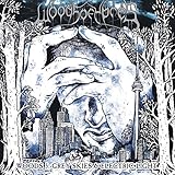 Woods 5: Grey Skies And Electric Light