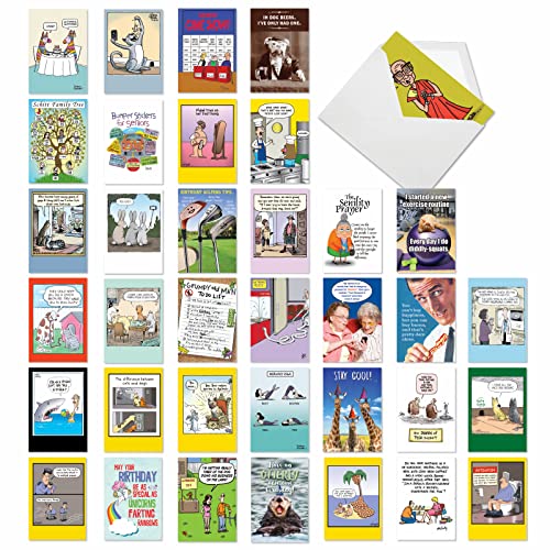 NobleWorks - Paquete variado de 36 tarjetas de cumpleaños divertidas surtidas a granel con sobres, humor vanguardista día B para hombres, mujeres (36 diseños, 1 cada uno) – Favoritos de cumpleaños