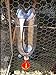 5pcs Bird Coop Feed Automatic Poultry Chicken Water Drinking