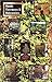 Marijuana Outdoors : Guerilla Growing