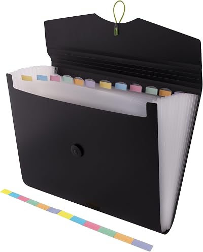 D.RECT Expandable File 12 Compartments A4 Black Document Organizer