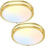 TOBUSA 16in 50W LED Flush Mount Ceiling Lights