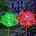 Solar Rose Lights Holiday Outdoor Decoration Color Changing Rose Flower Pathway Garden Stakes for Christmas Thanksgiving Patio Lawn Yard Path Decor by SolarDuke (2 Pack)