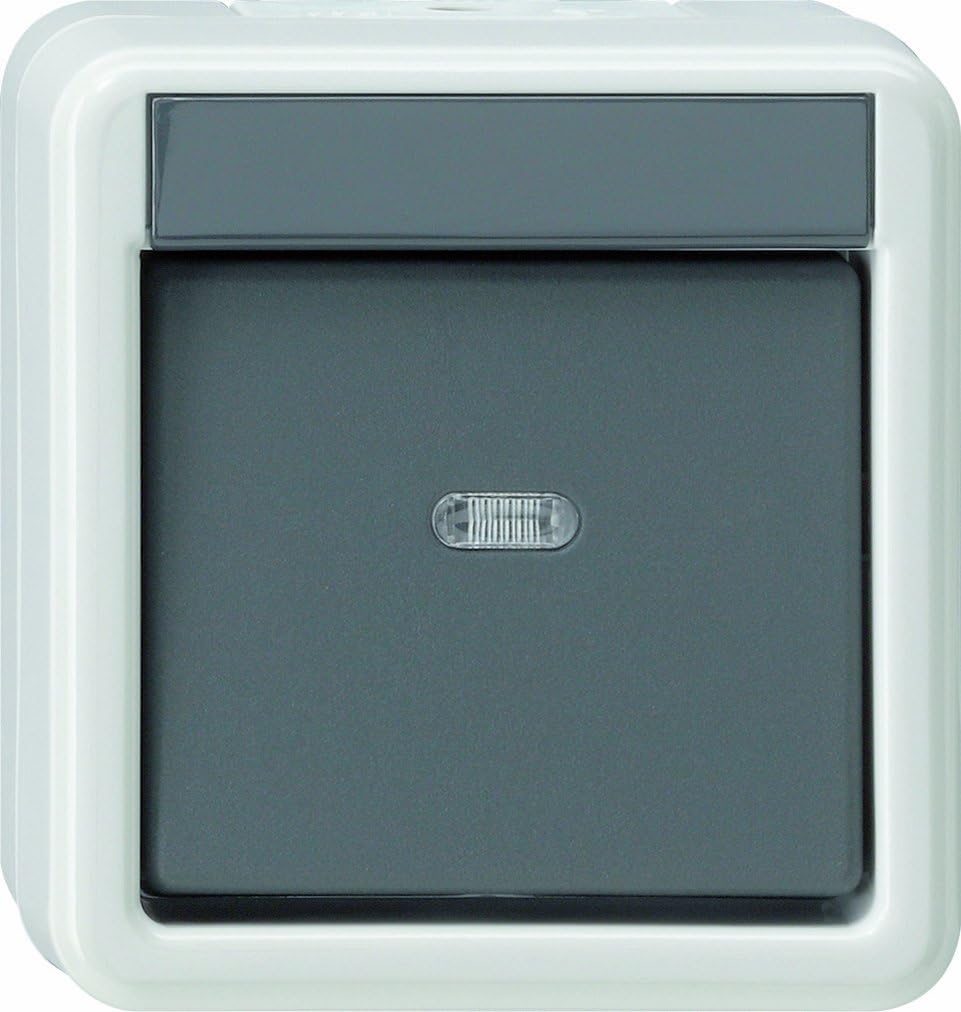 Gira 010730 Rocker Switch Cross Joint Wall-Mounted Fitting Water-Protected Grey