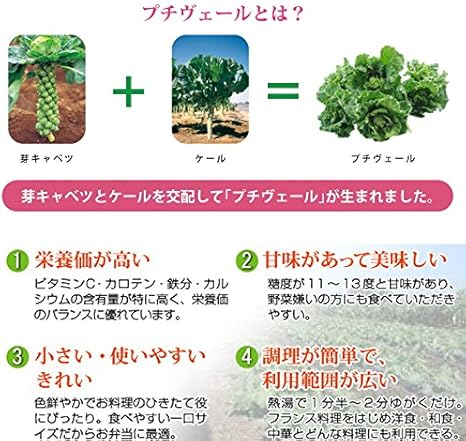 Amazon プチベール ルージュ 10 5cmポット苗 非結球芽キャベツ 野菜