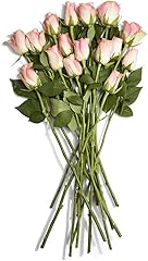 Floral, Rose, 16 Stems