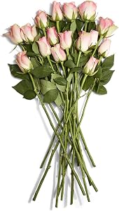 Floral, Rose, 16 Stems