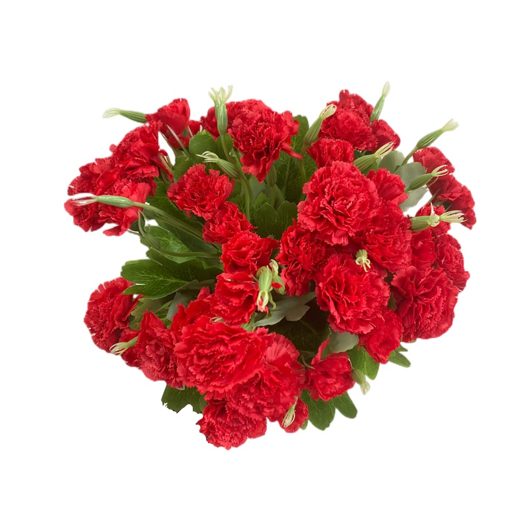 4 Bunches Bouquet of Artificial Silk Flower Carnations,12" Bouquet and Green Leaf for Photo Props Home Party,Bridal Wedding Holding Flowers Festival Decoration with 10 Per Bunch Flower(Red)