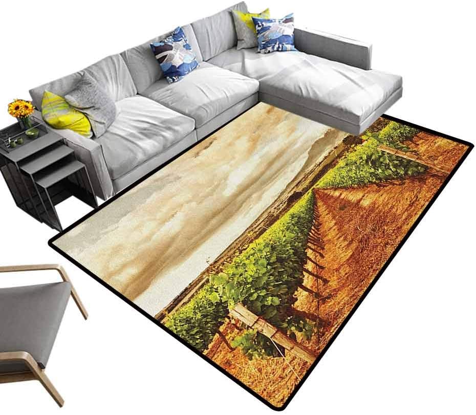 Country Area Rug Grape Valley Clouds Over Vineyard Natural Fruit Plantation in Autumn Garden Theme for Kitchen Rugs Green Brown (4'x5')