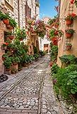 Leyiyi 5x7ft Photography Backdrop Italian Wedding
