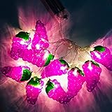 Fruit String Lights Battery Powered Indoor Outdoor