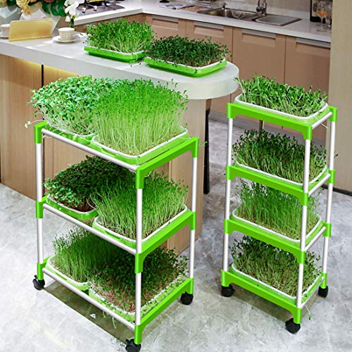RuiyiF Seed Sprouter Tray, 2 Set Seed Germination Trays with Water Tray, Wheatgrass Tray/Bean Sprout Grower (Green + White)