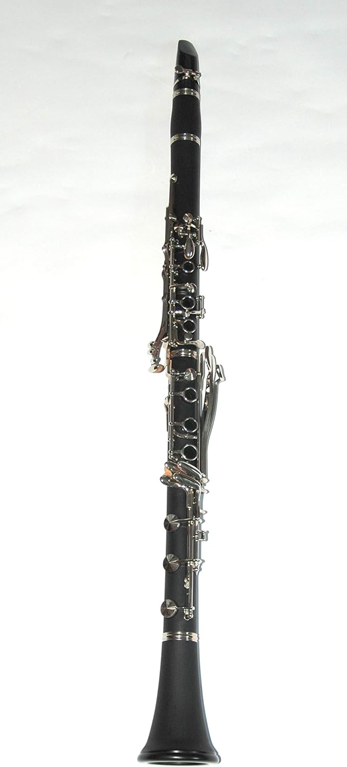 Tuyama Sol in G Ebonit Mundstück und Koffer