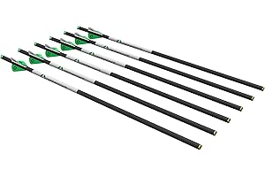 CenterPoint Archery CP400 Select 400-Grain 20-Inch Carbon Arrows, Pack of 6