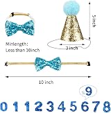 Fantasyon Dog Birthday Hat with Bow Tie Blue Number Reusable Party Accessory view 2