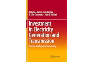 Investment in Electricity Generation and Transmission: Decision Making under Uncertainty