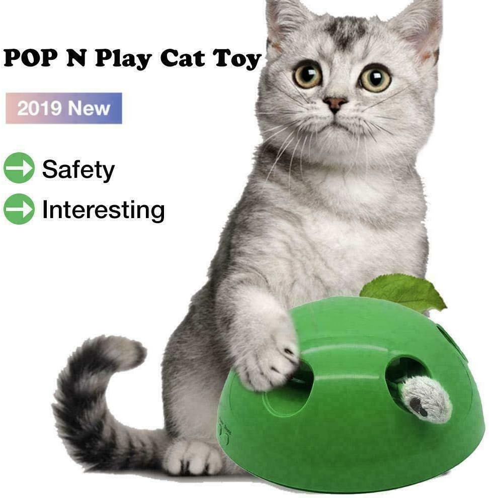pop n play cat toy amazon