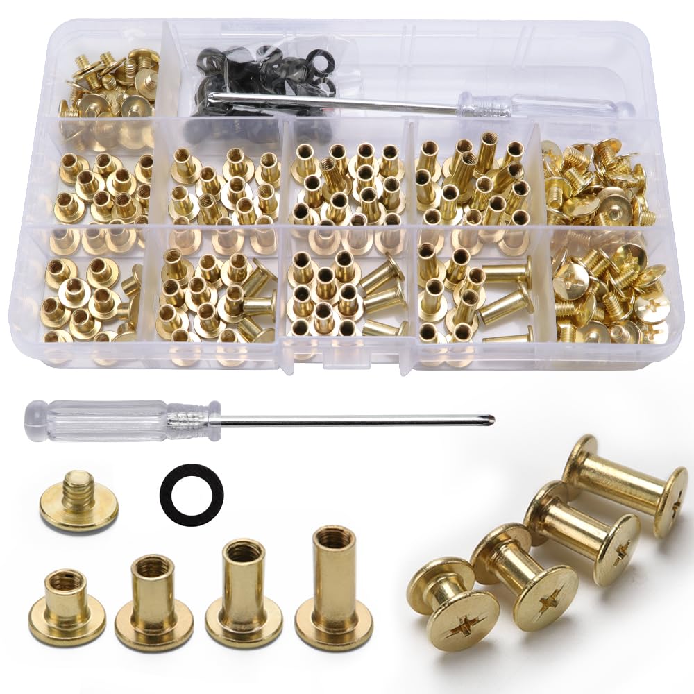 YIXISI 100 Set Chicago Binding Screws Assorted Kit, 4 Sizes Metal Round Cross Head Book Binding Screws & Posts, with Screwdriver, for DIY Leather Decoration Bookbinding, M5 5/8/10/12 mm, Golden