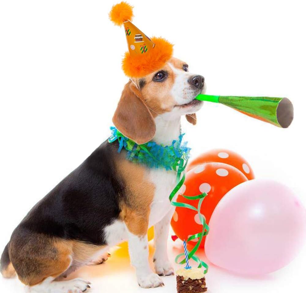 SCENEREAL Dog Party Hat 6 Packs - Cute Cone Hats Set for Dogs Birthday Parties Soft Plush Colorful Caps Perfect Doggie Party Supplies : Pet Supplies