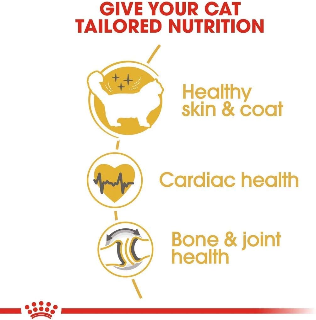 royal canin ragdoll 10kg