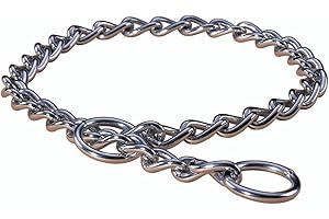 Hamilton 22-Inch Choke Chain Dog Collar, Medium