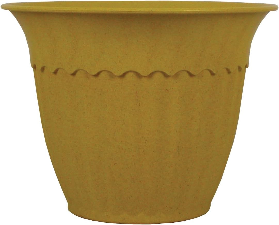 Rosso's International P19-11 12-Inch by 10.4-Inch Buttercup Decorative Biodegradable Bamboo