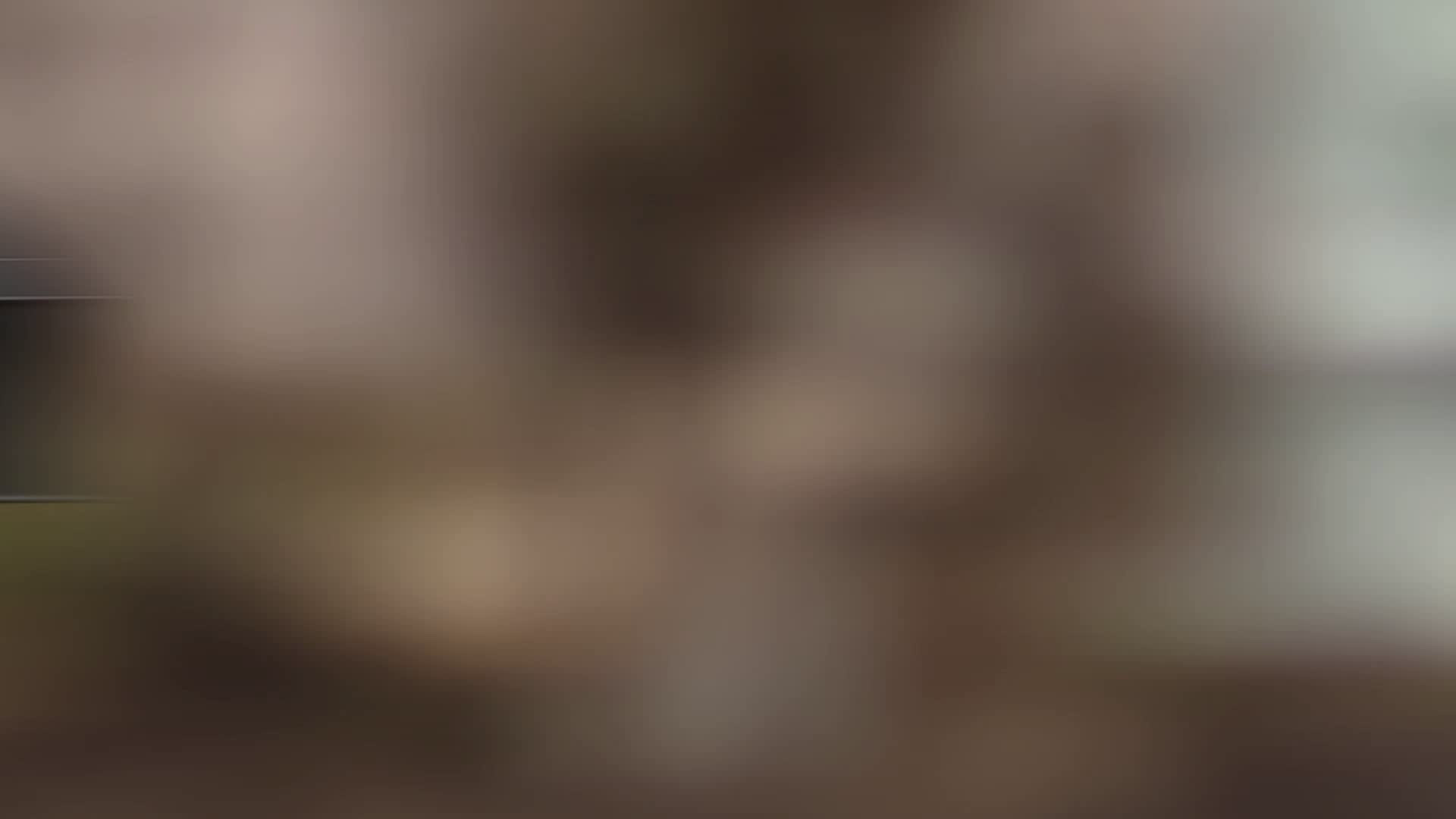 Char-Broil-Performance-475-4-Burner-Cart-Liquid-Propane-Gas-Grill-Stainless