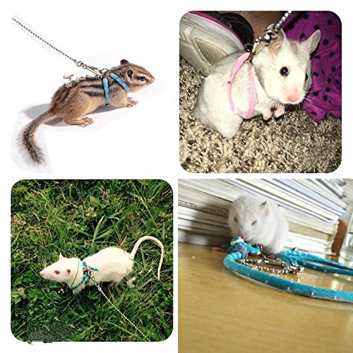 Hypeety Hamster Training Lead Leash Nylon for Hamster Rat Squirrel