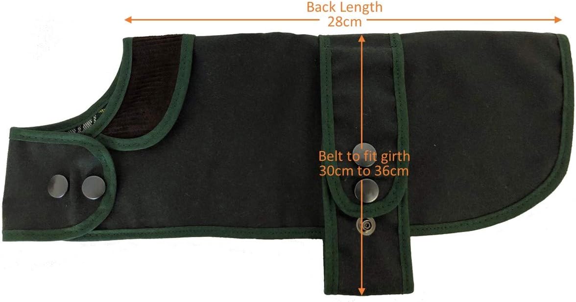 Cosipet Dachshund Hunter Coat, 11" (28 cm) green - Image 5