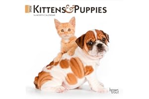 Kittens & Puppies | 2026 7 x 14 Inch (Hanging) Monthly Mini Wall Calendar | BrownTrout | Animals Cute Dogs Cats
