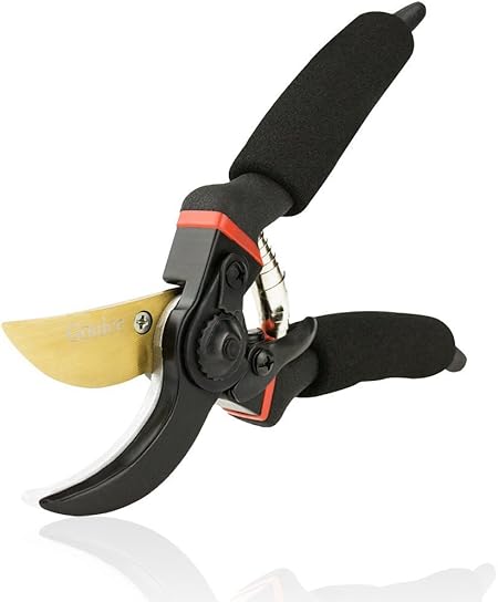 Garden Shears