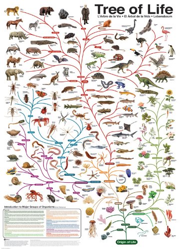 Eurographics Evolution The Tree of Life 1000-Piece Puzzle