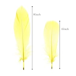 100PCS Natural Goose Feathers Decoration - Assorted
