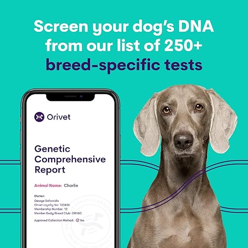 Dna Testing Kit Ancestry AffinityDNA Dog Breed DNA Test Kit For 350+ Breeds By Percentage Dog Dna Testing Kit