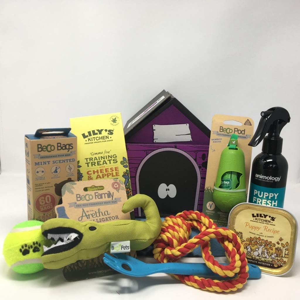 Pet Presents Puppy Gift Hamper - Blue