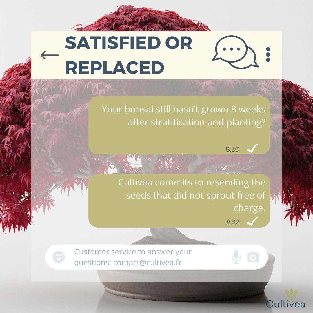 View 4