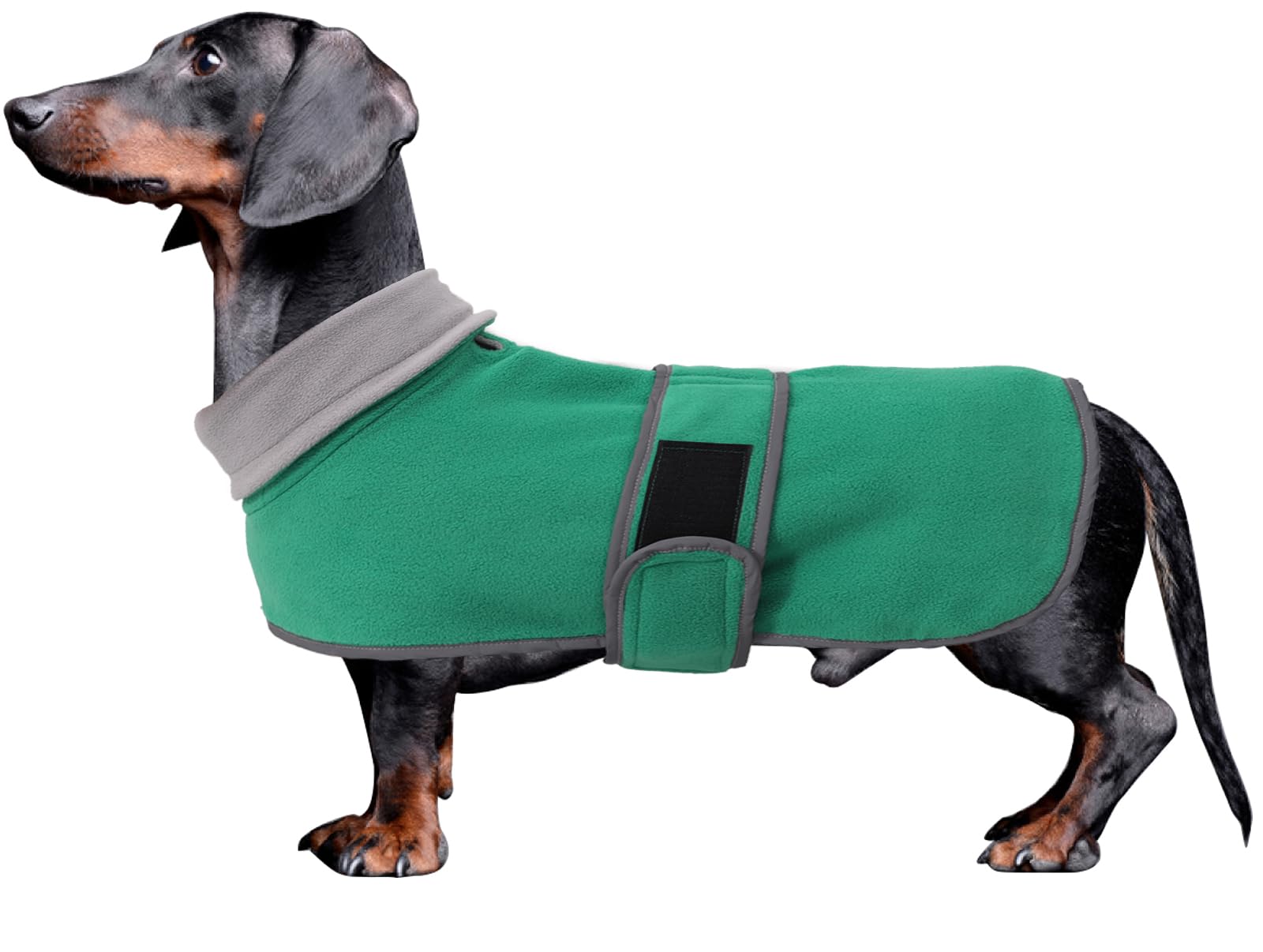 Dachshund coats sausage dog fleece coat in winter miniature dachshund clothes with hook and loop closure and high vis reflective stripe safety - Green - S